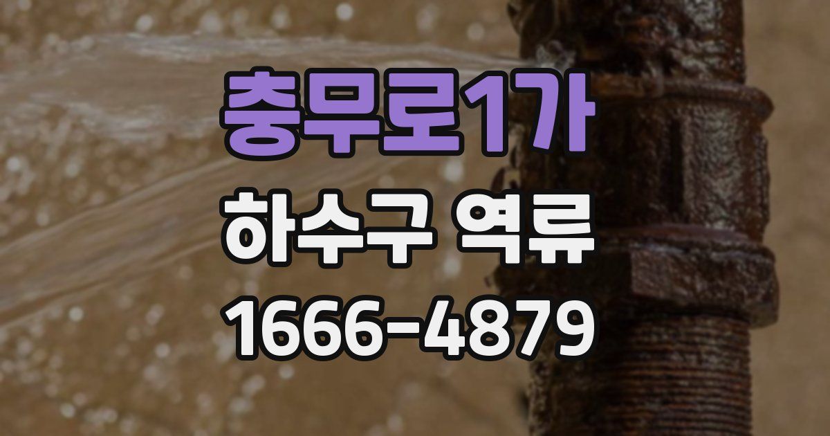 충무로1가 하수구 역류