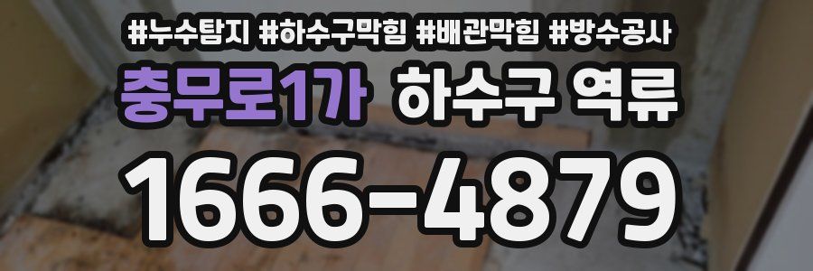 충무로1가 하수구 역류