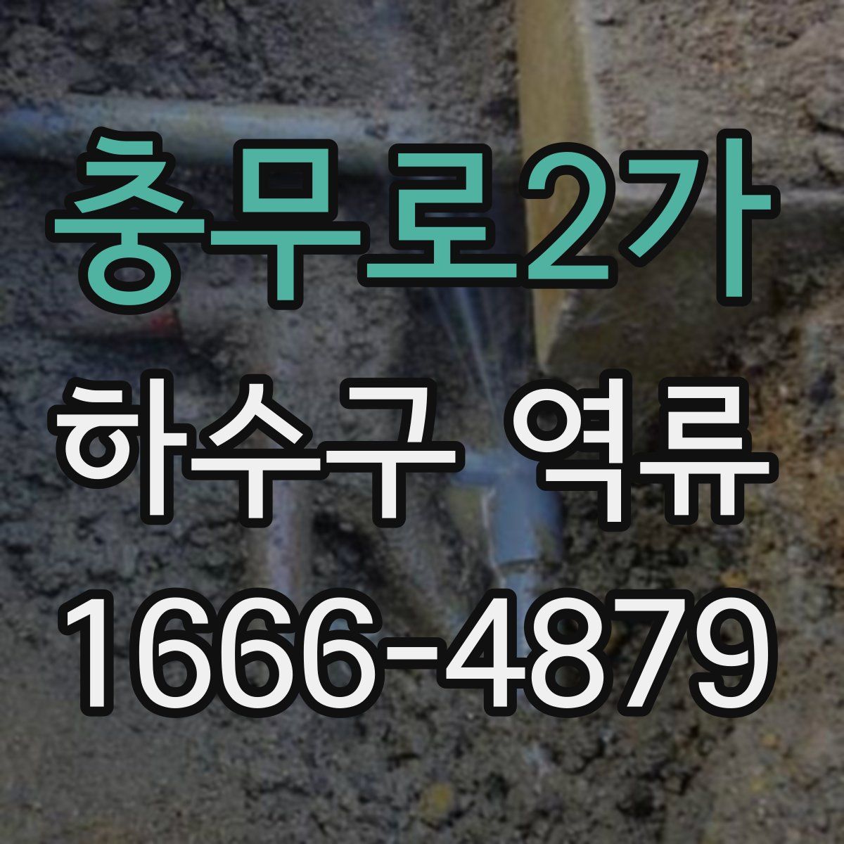 충무로2가 하수구 역류