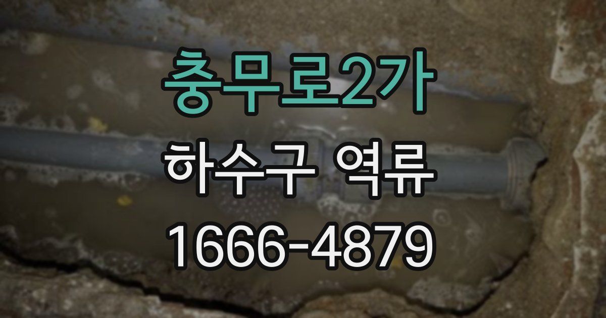 충무로2가 하수구 역류