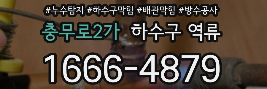 충무로2가 하수구 역류