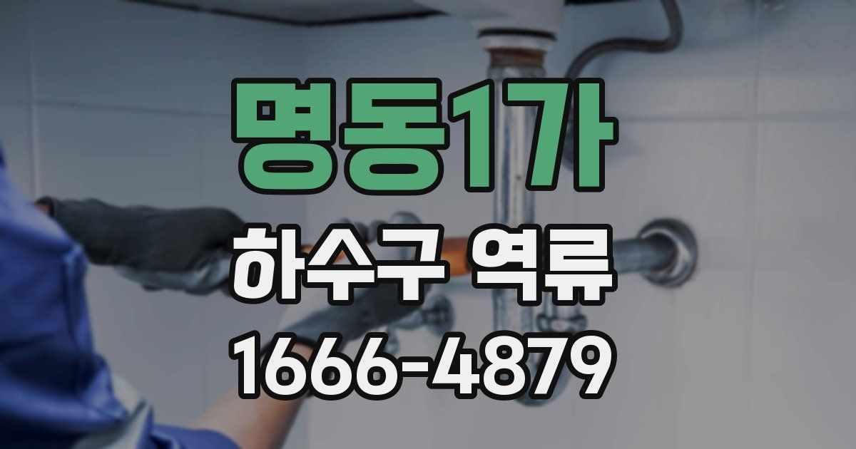 명동1가 하수구 역류