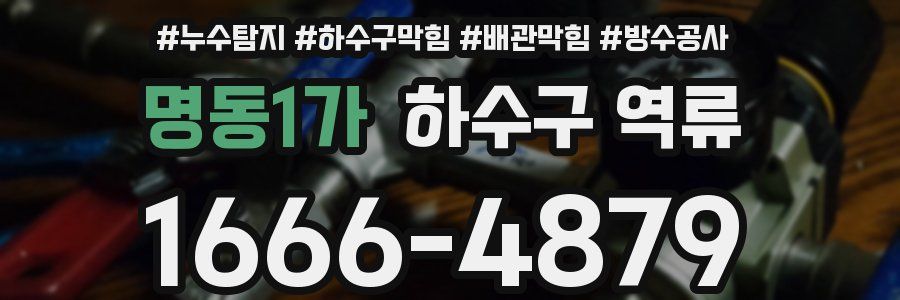명동1가 하수구 역류