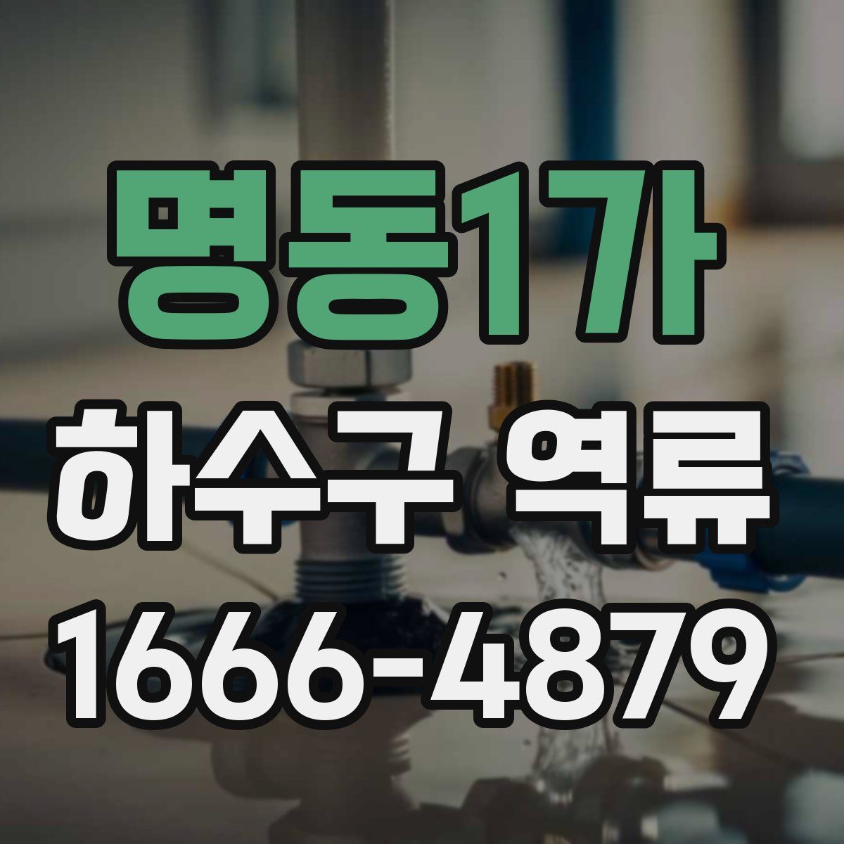 명동1가 하수구 역류