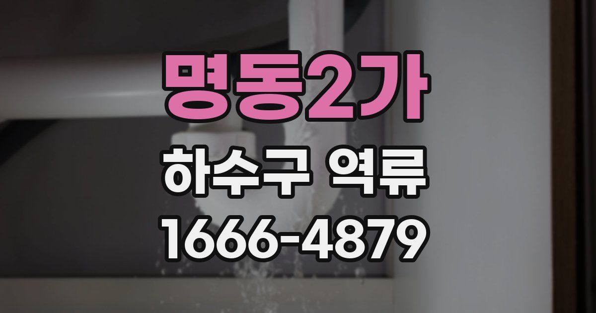 명동2가 하수구 역류