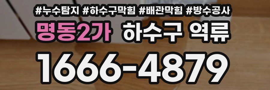 명동2가 하수구 역류