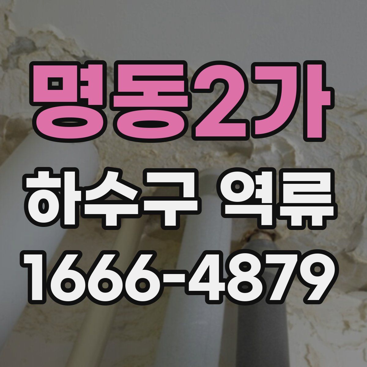 명동2가 하수구 역류