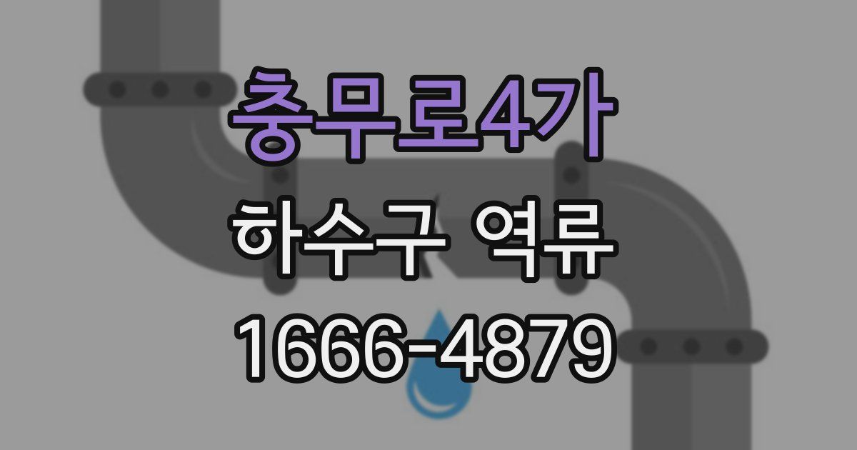 충무로4가 하수구 역류