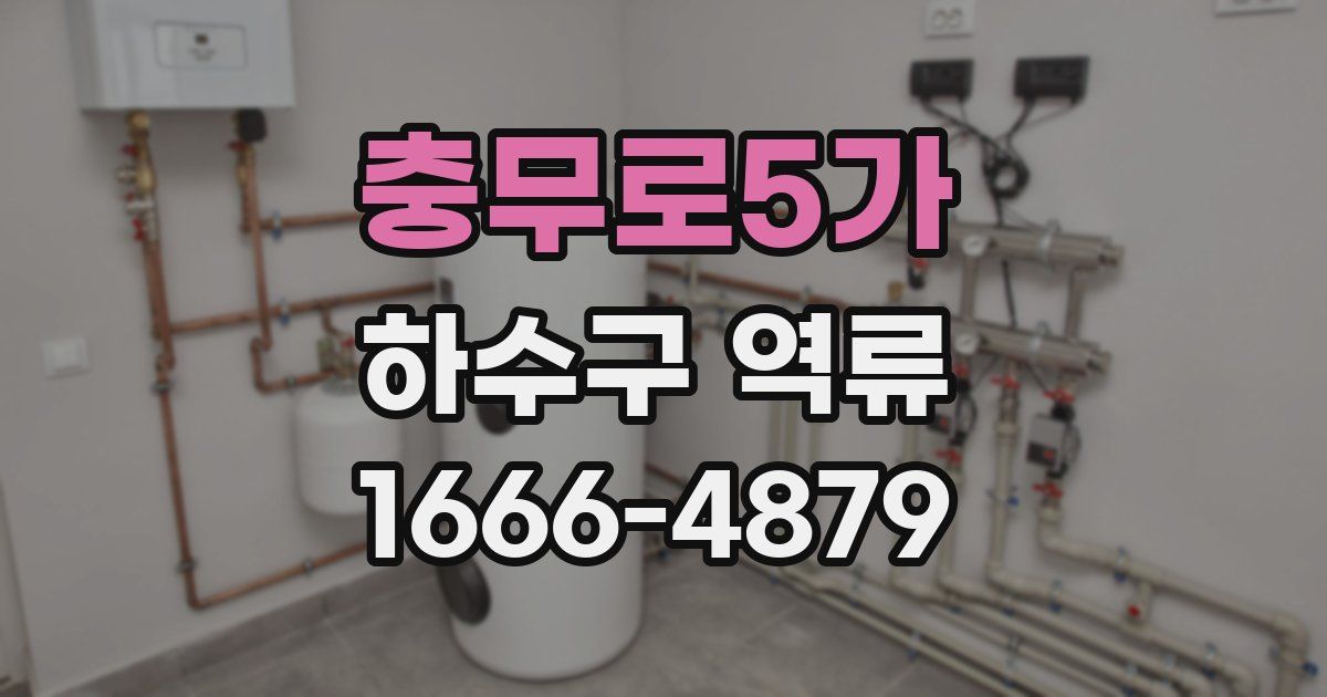 충무로5가 하수구 역류