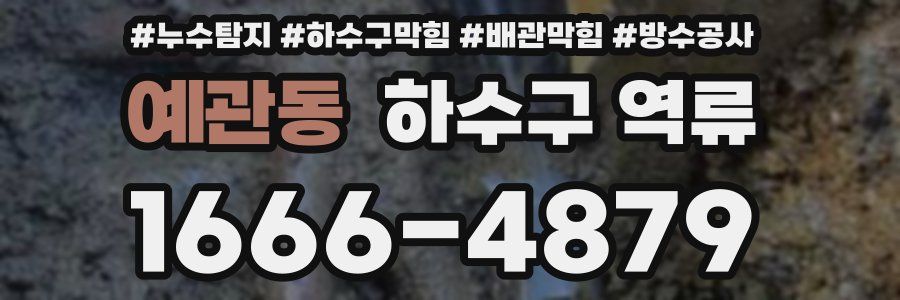예관동 하수구 역류