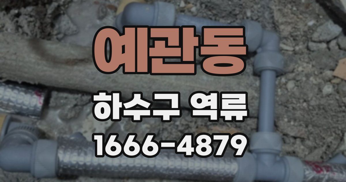 예관동 하수구 역류