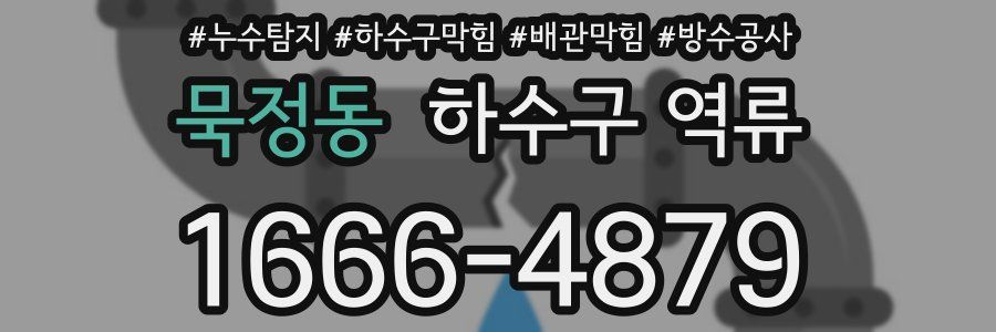 묵정동 하수구 역류