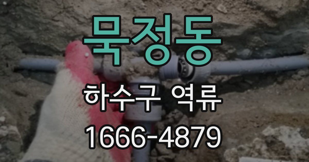 묵정동 하수구 역류