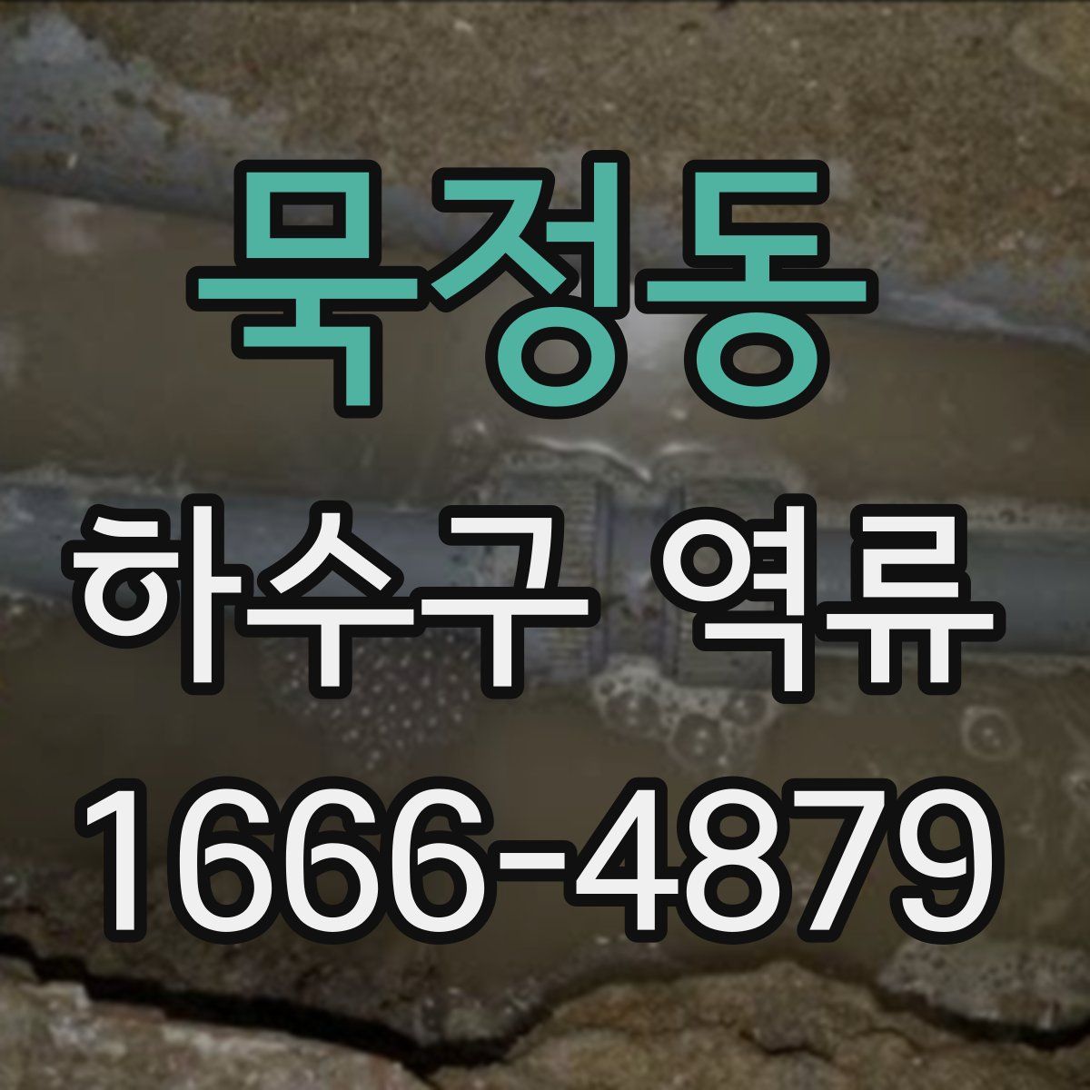 묵정동 하수구 역류