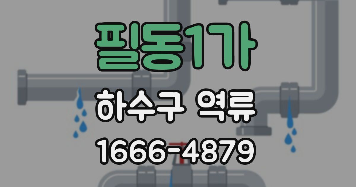 필동1가 하수구 역류