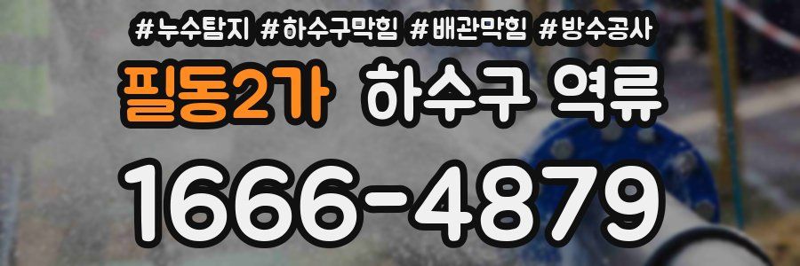 필동2가 하수구 역류