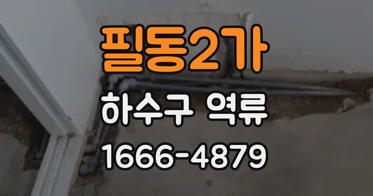필동2가 하수구 역류