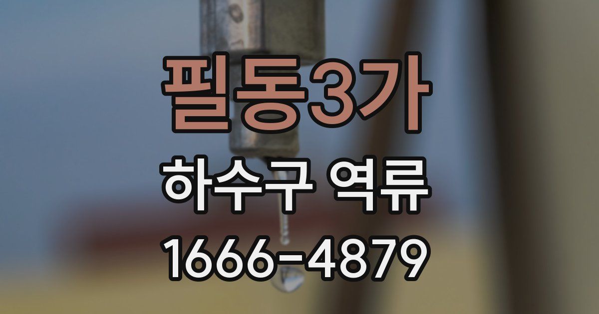 필동3가 하수구 역류