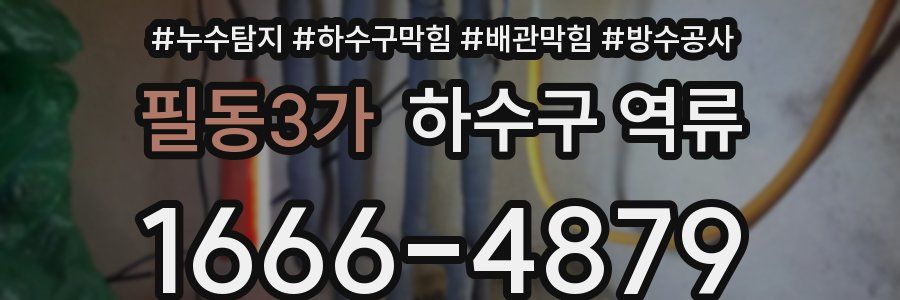 필동3가 하수구 역류