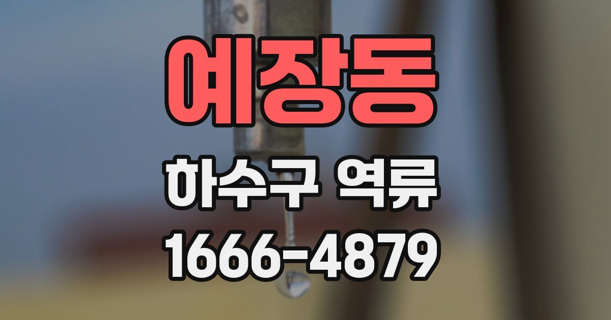 예장동 하수구 역류