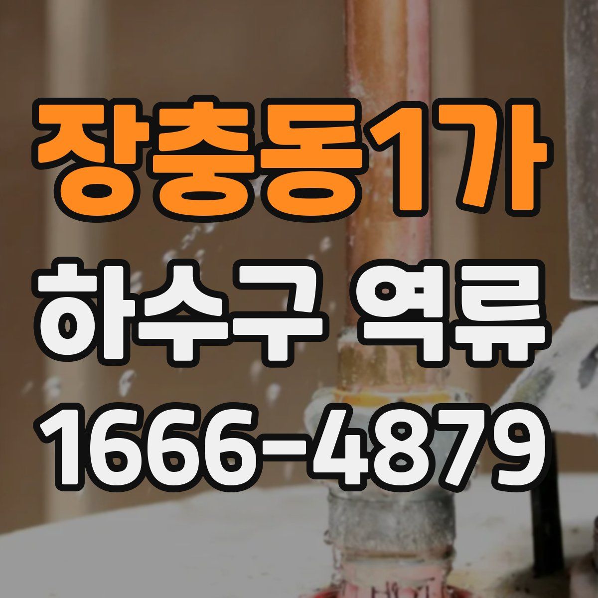 장충동1가 하수구 역류