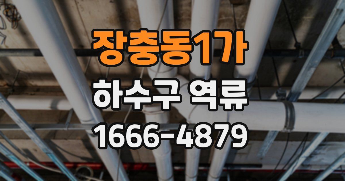 장충동1가 하수구 역류