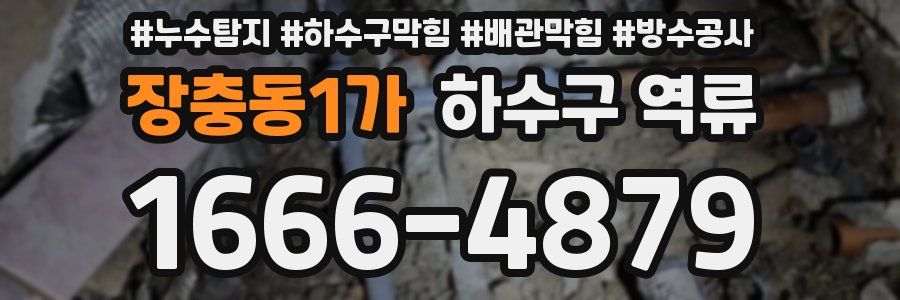 장충동1가 하수구 역류