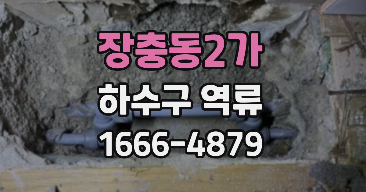 장충동2가 하수구 역류