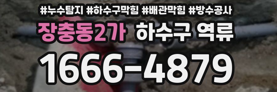 장충동2가 하수구 역류