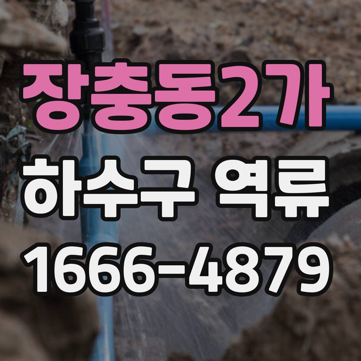 장충동2가 하수구 역류
