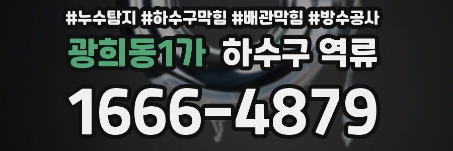 광희동1가 하수구 역류
