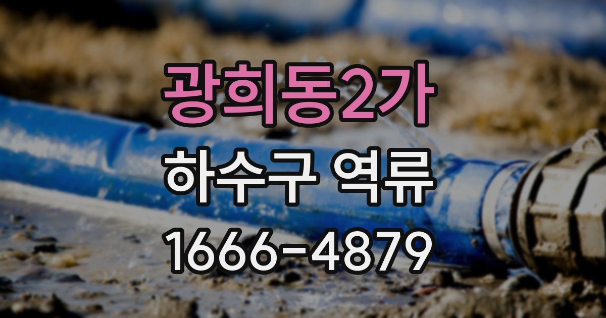 광희동2가 하수구 역류