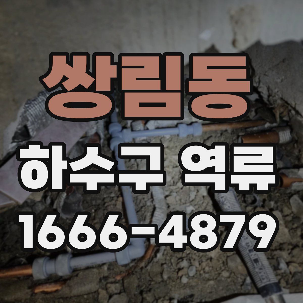 쌍림동 하수구 역류