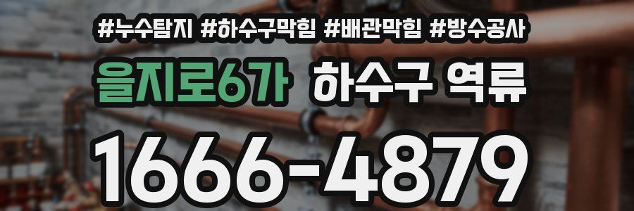 을지로6가 하수구 역류