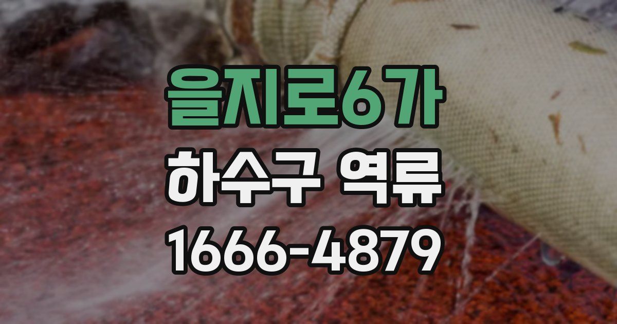을지로6가 하수구 역류