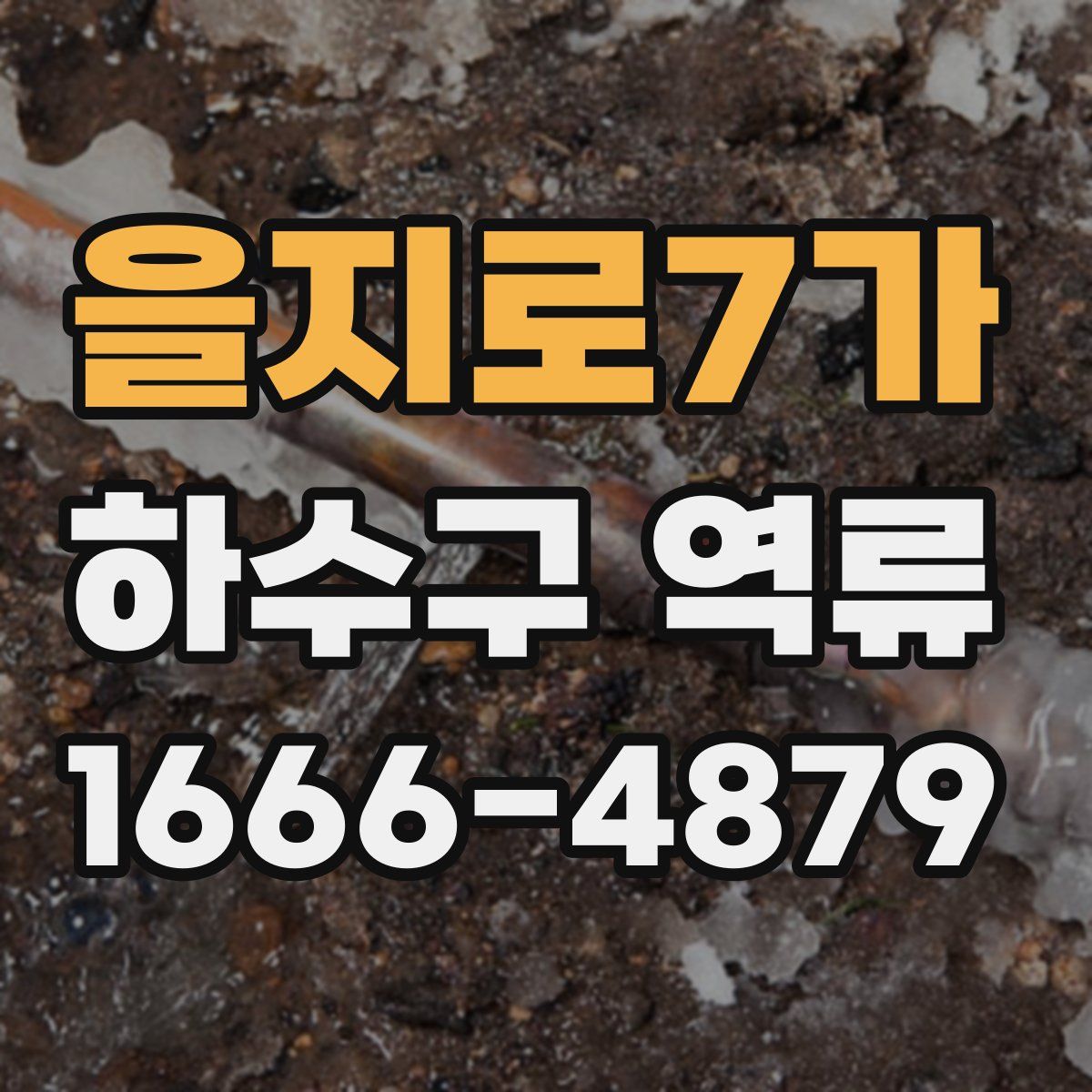을지로7가 하수구 역류
