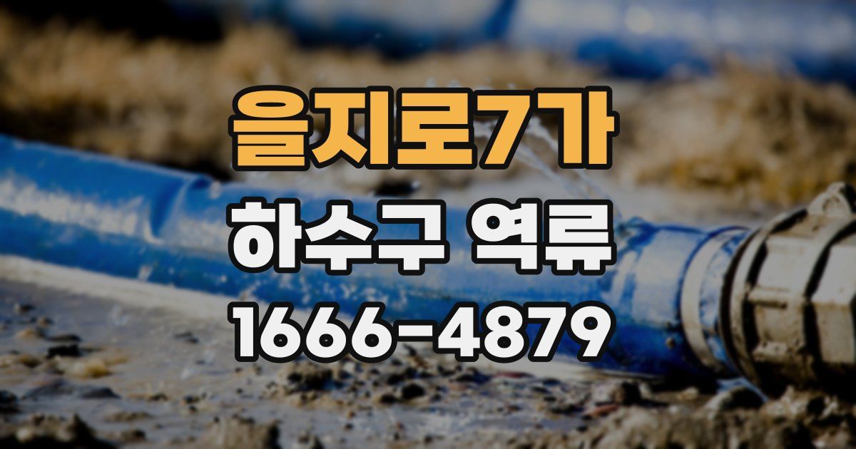 을지로7가 하수구 역류