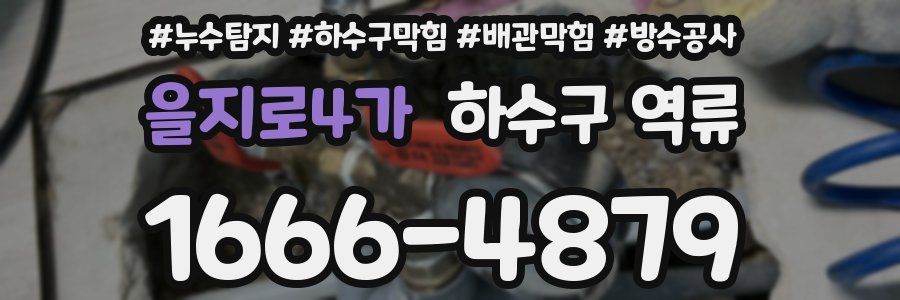 을지로4가 하수구 역류