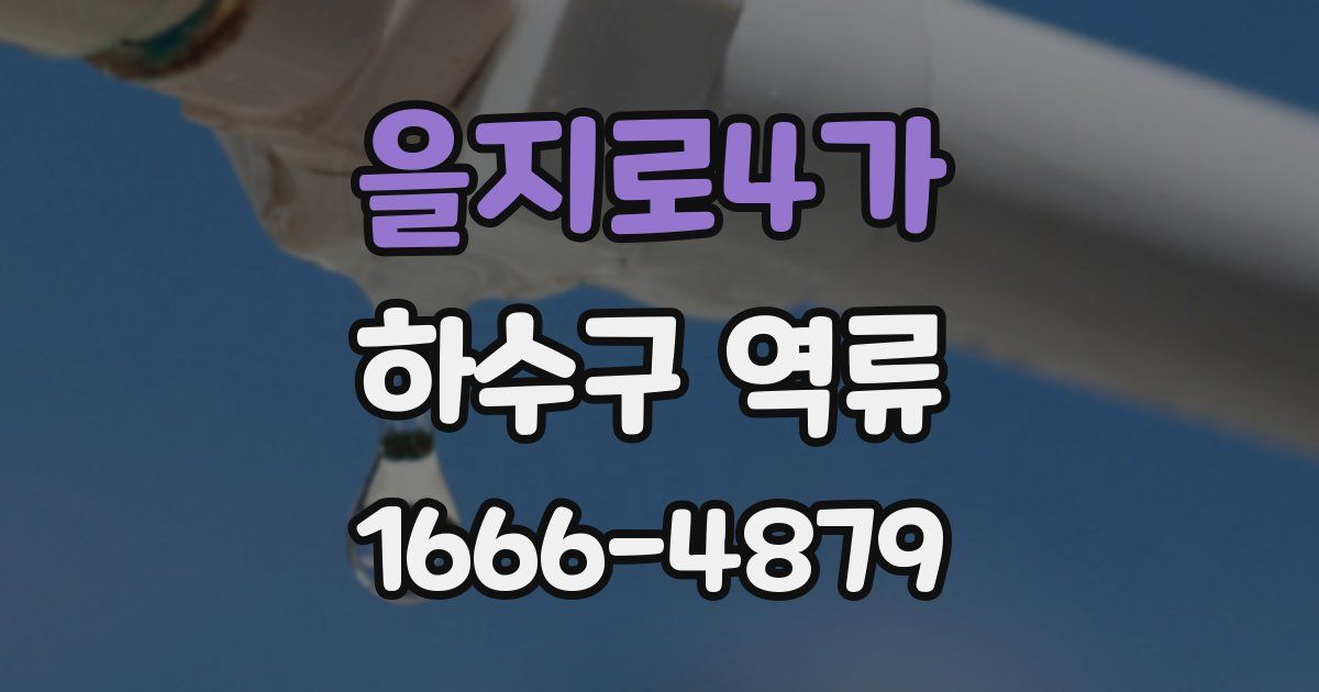 을지로4가 하수구 역류