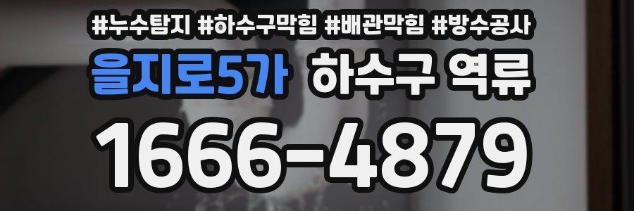 을지로5가 하수구 역류