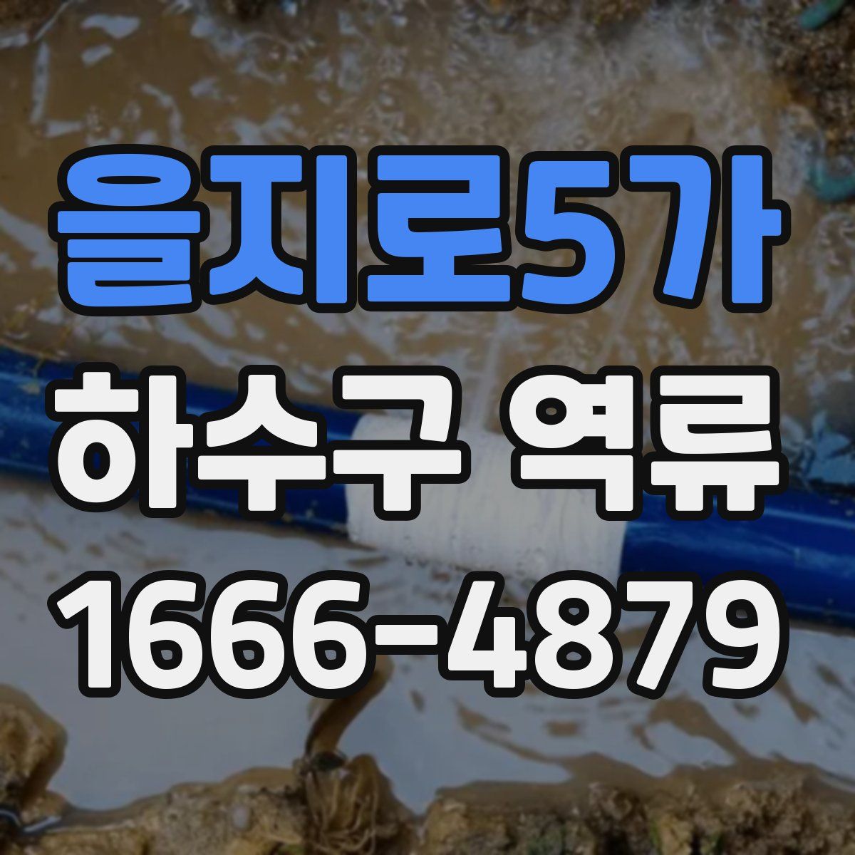 을지로5가 하수구 역류
