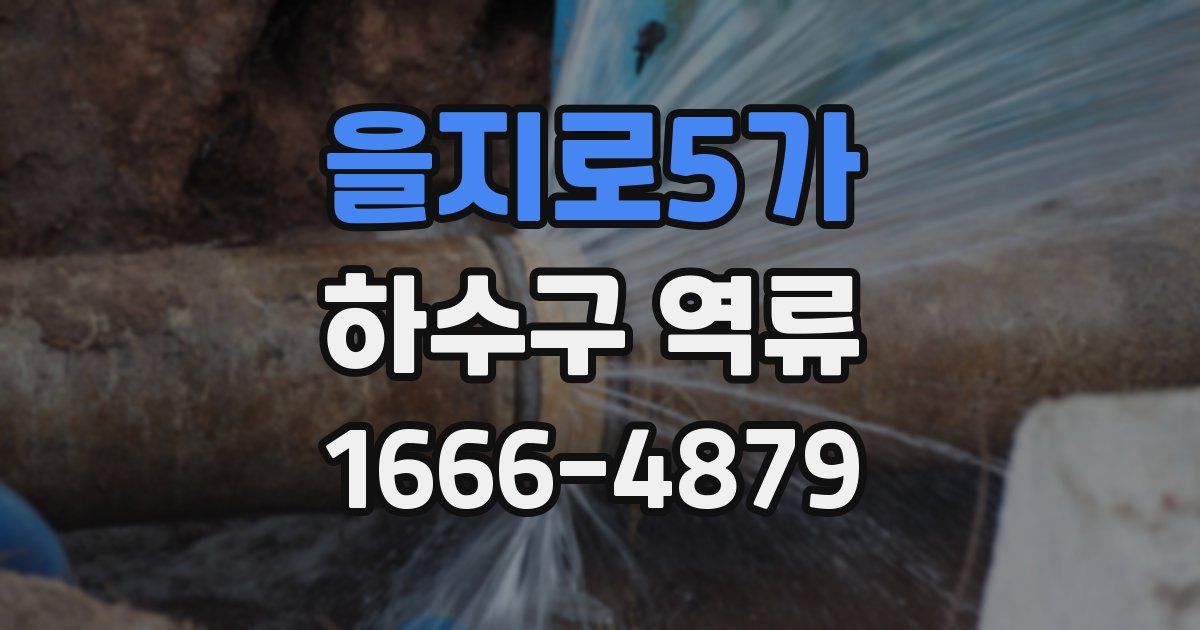 을지로5가 하수구 역류