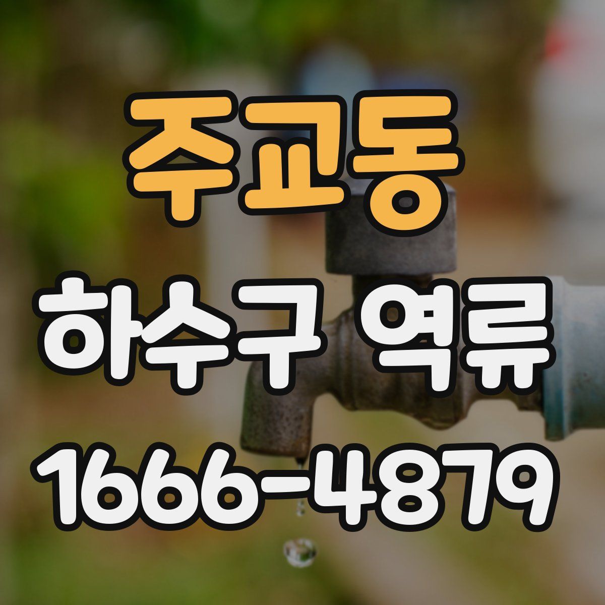 주교동 하수구 역류