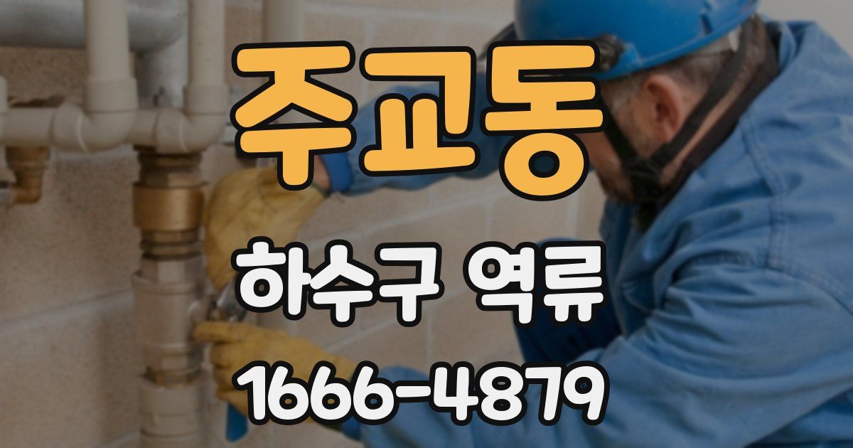 주교동 하수구 역류