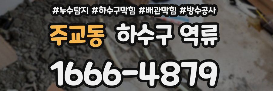 주교동 하수구 역류