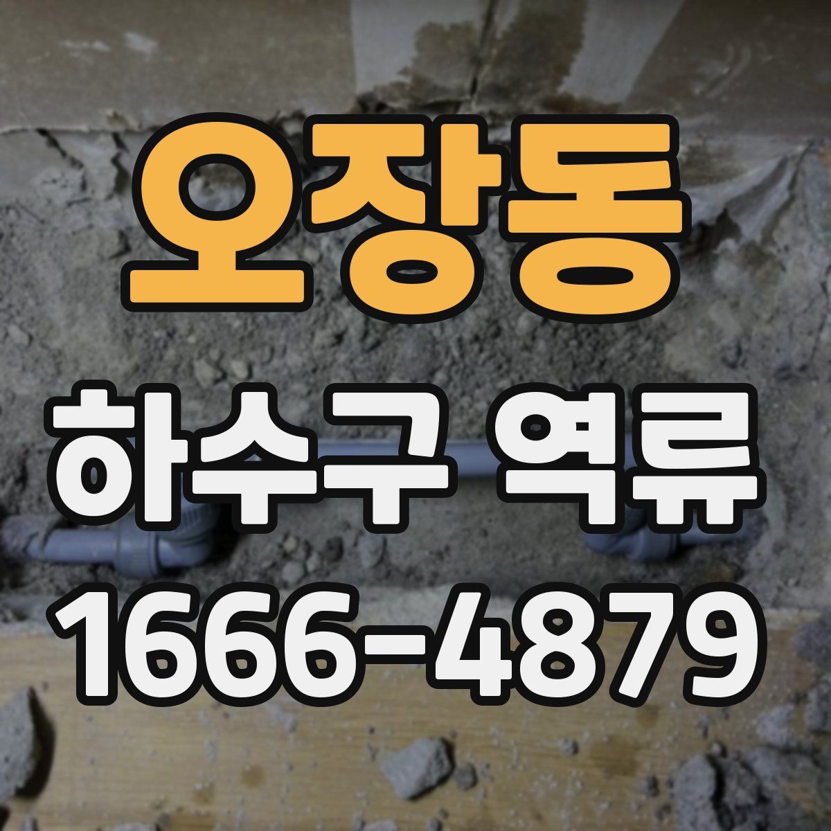 오장동 하수구 역류