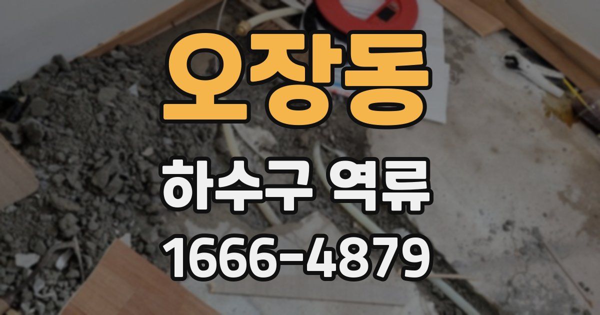 오장동 하수구 역류