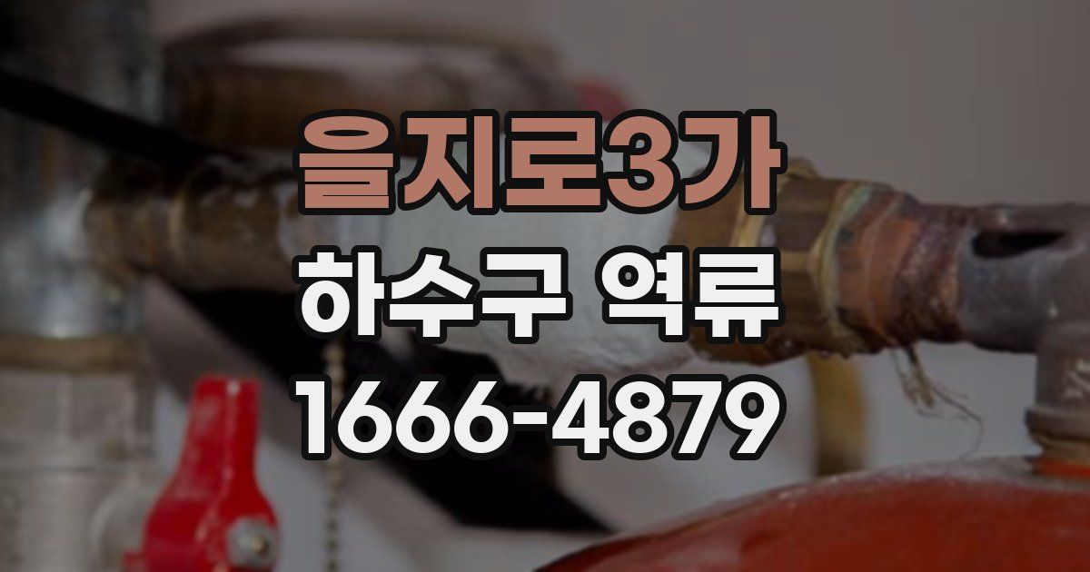 을지로3가 하수구 역류