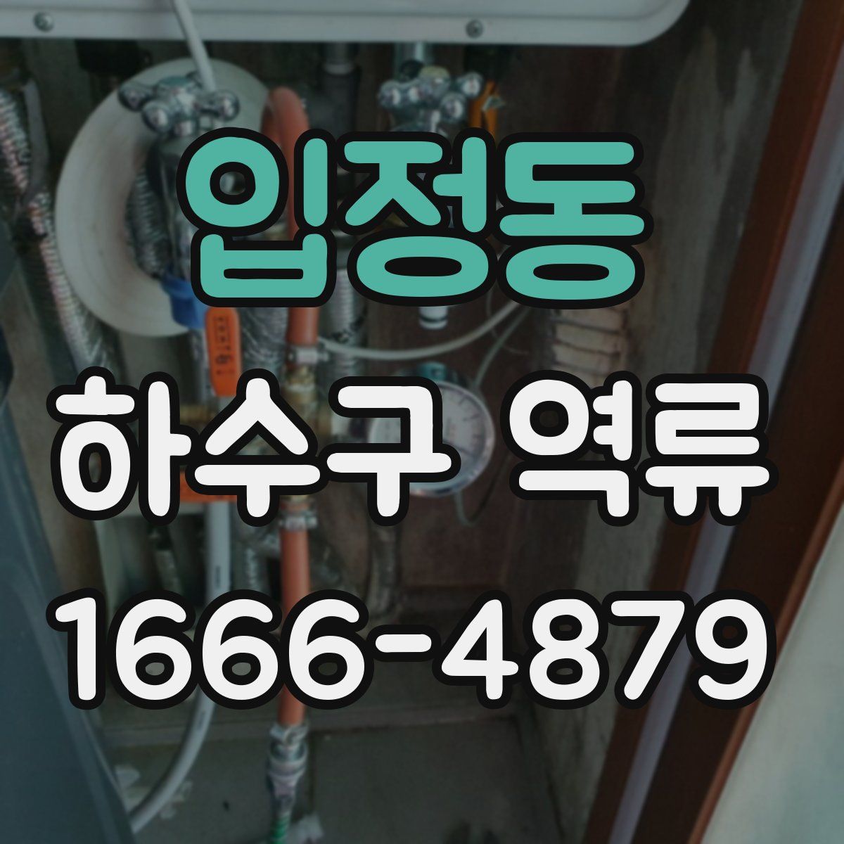 입정동 하수구 역류