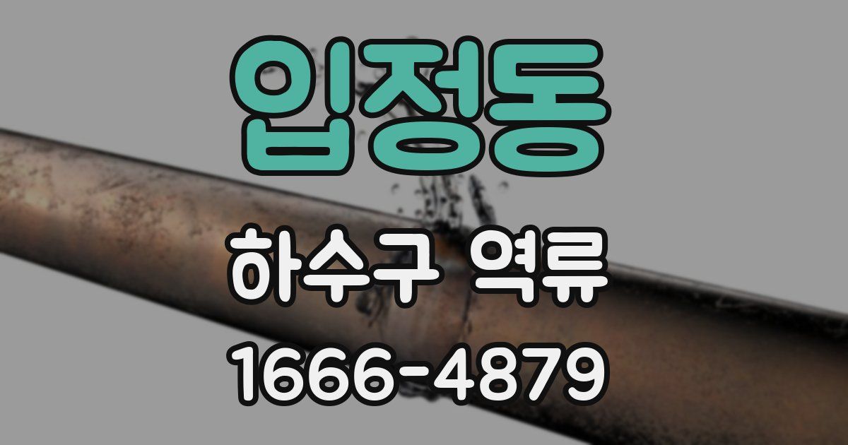 입정동 하수구 역류